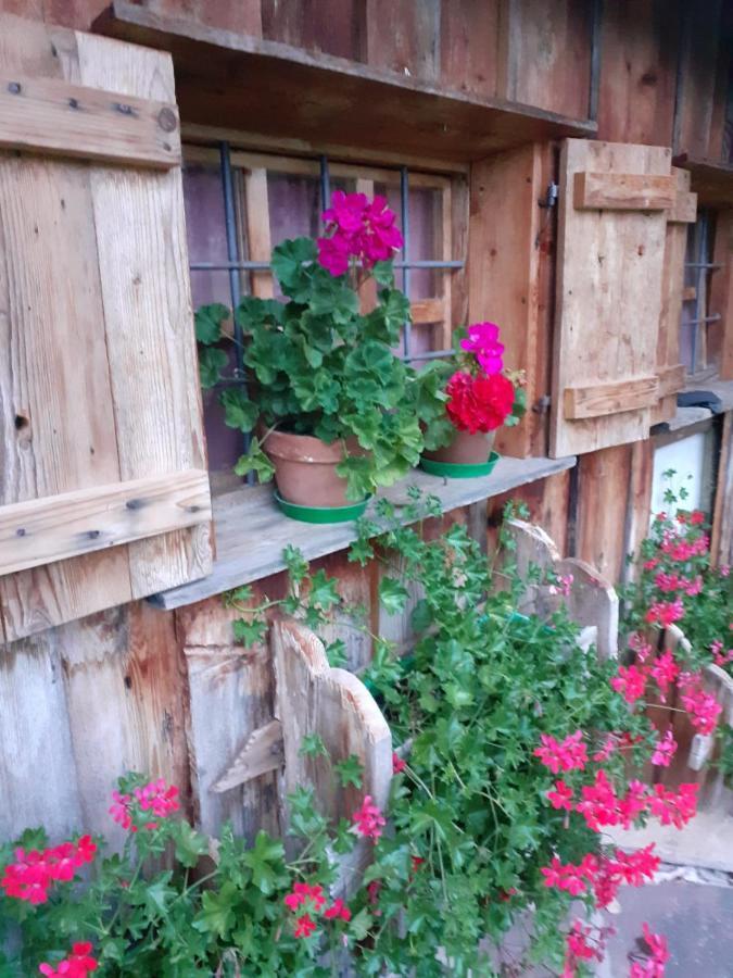 Maso Pinterato Apartment Cavalese Luaran gambar