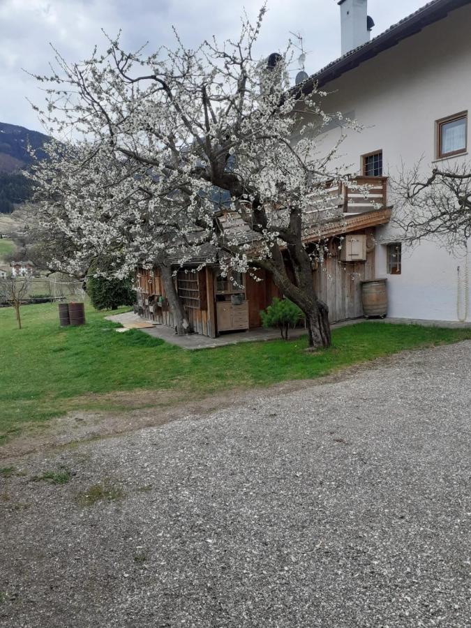 Maso Pinterato Apartment Cavalese Luaran gambar